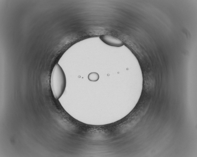 X0000110920207200907301609