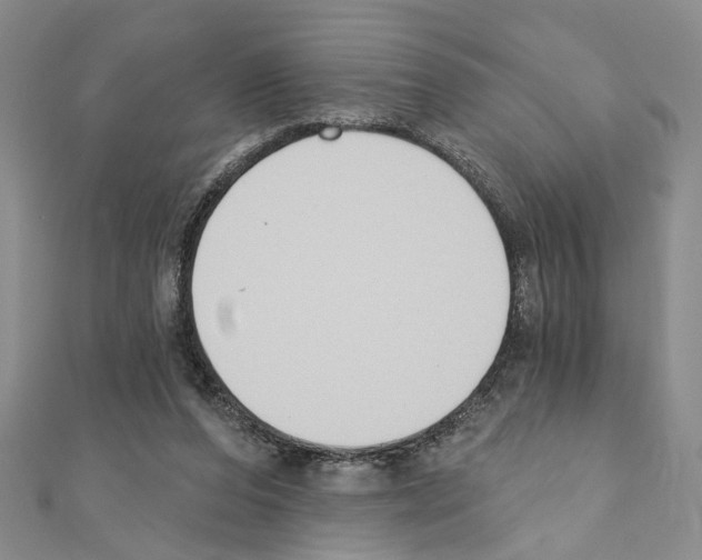 X0000110920208200907301609