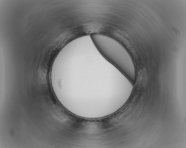 X0000110920209200907301609