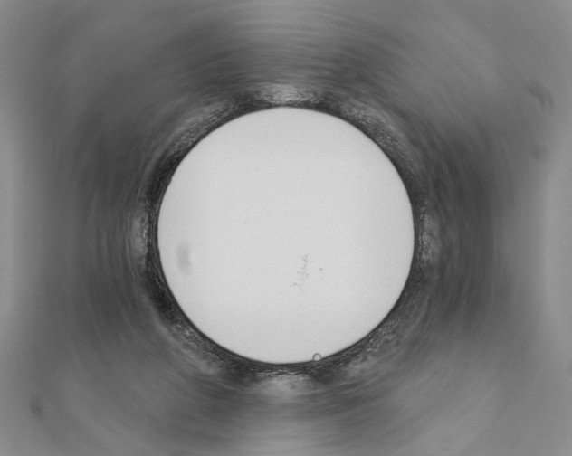 X0000110920210200907301609