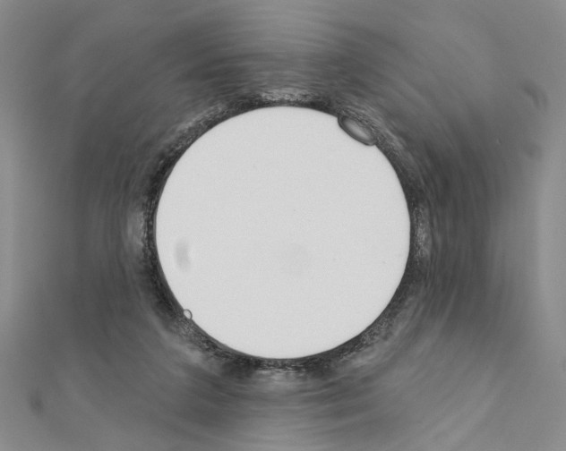X0000110920211200907301609