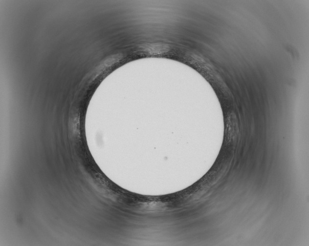 X0000110920212200907301609