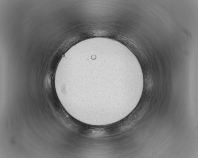 X0000110920214200907301609