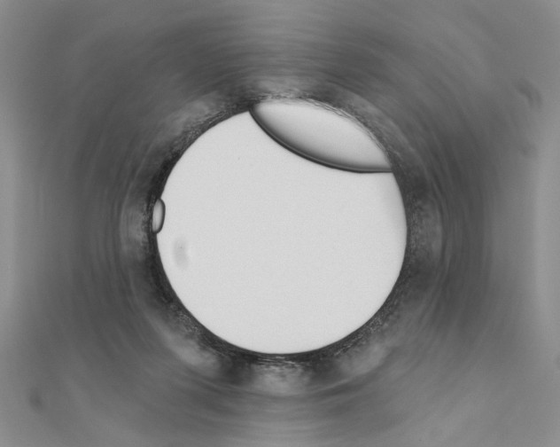 X0000110920215200907301609