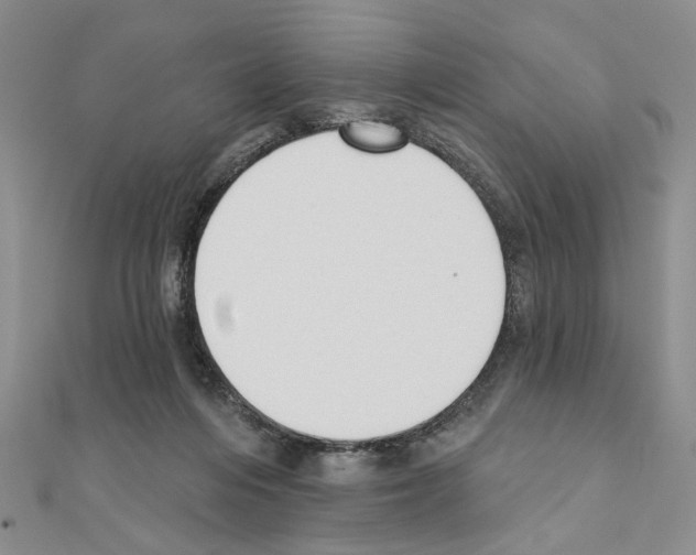 X0000110920216200907301609