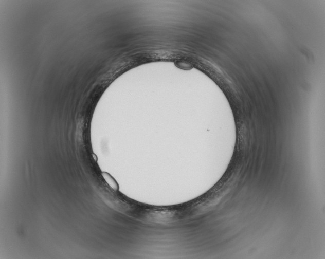 X0000110920217200907301609