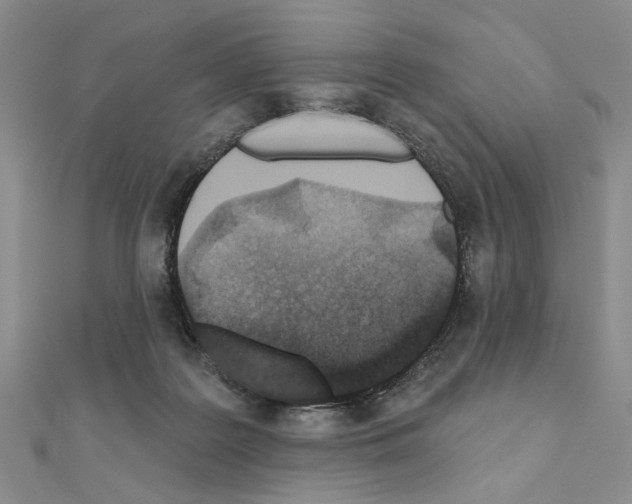 X0000110920219200907301609