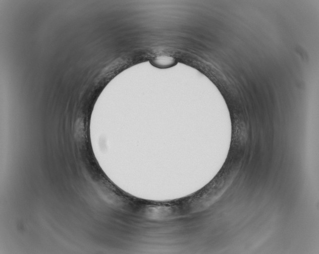 X0000110920220200907301609