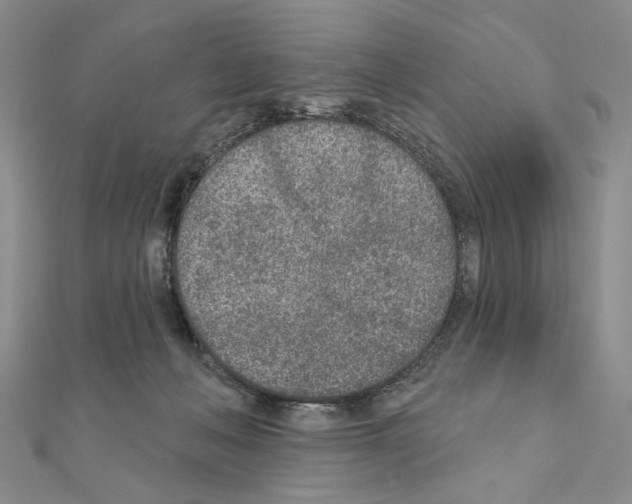 X0000110920222200907301609