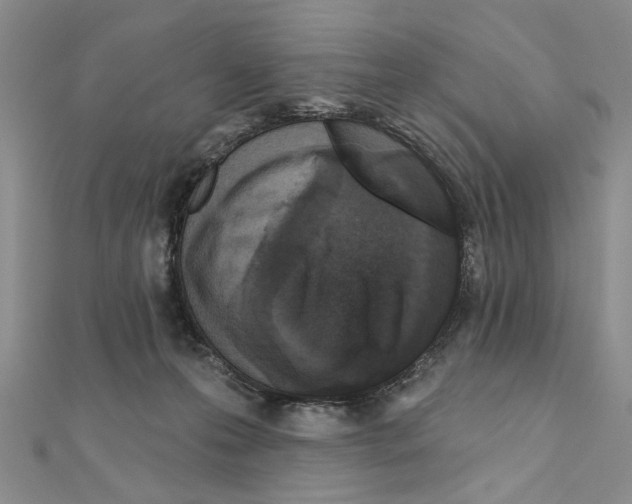 X0000110920223200907301609