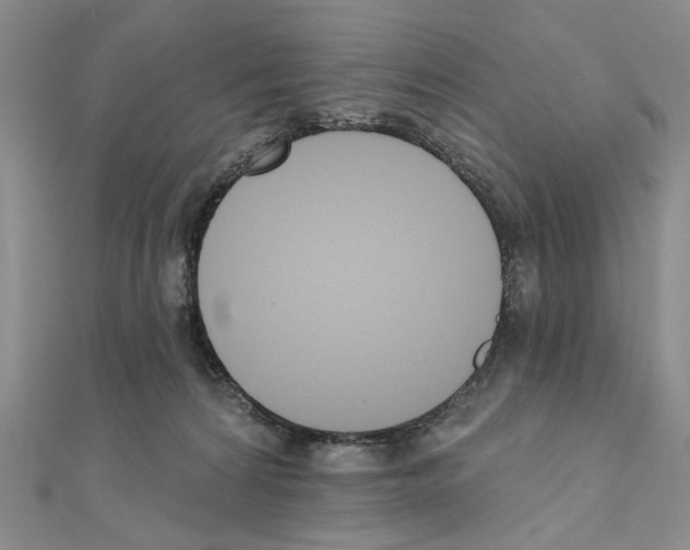 X0000110920224200907301609
