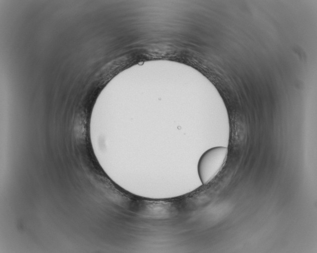 X0000110920226200907301609