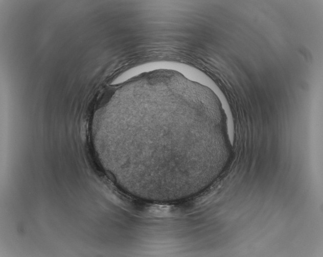 X0000110920227200907301609