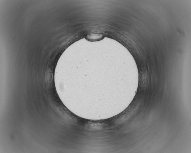 X0000110920228200907301609