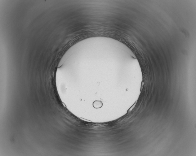 X0000110920229200907301609