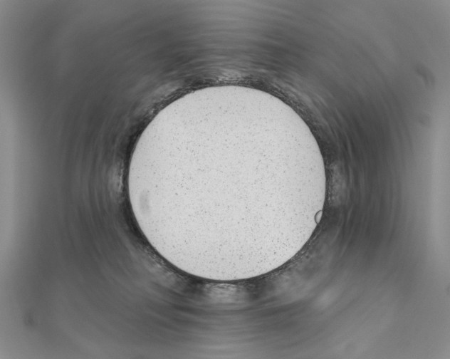 X0000110920230200907301609