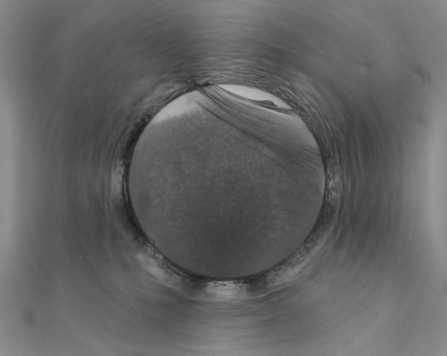 X0000110920231200907301609