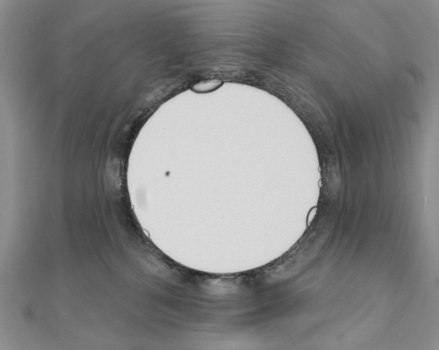 X0000110920232200907301609