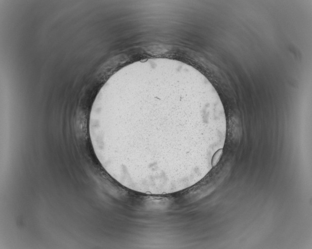 X0000110920234200907301609