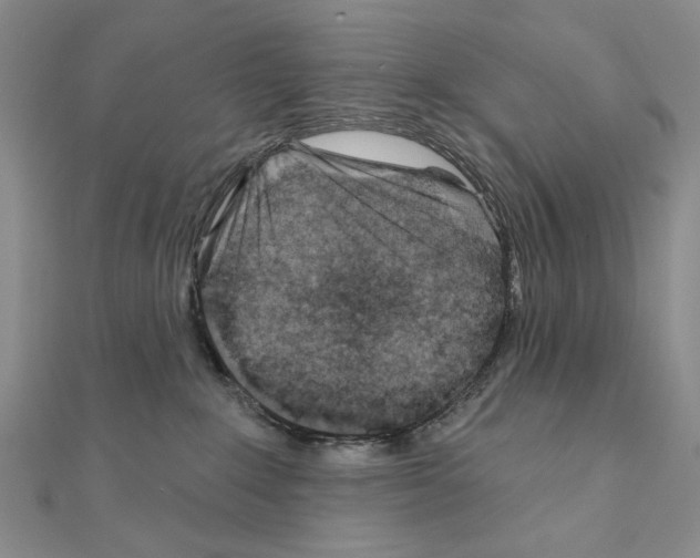 X0000110920235200907301609