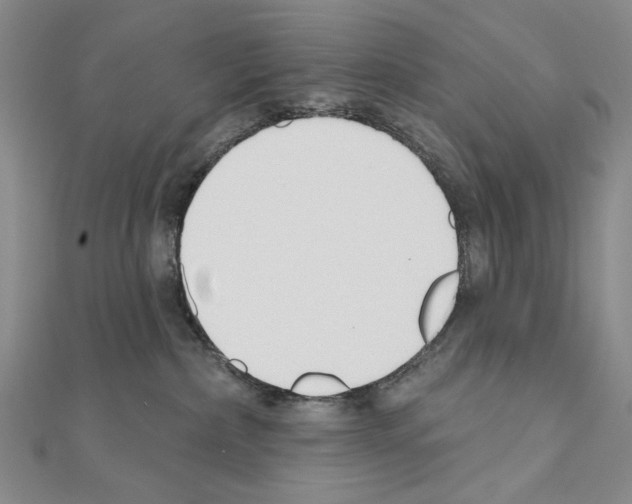 X0000110920236200907301609