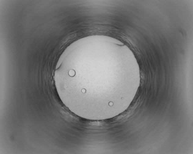 X0000110920237200907301609