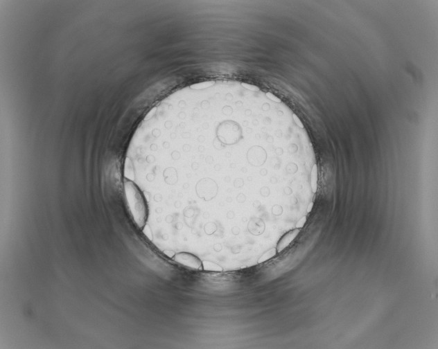 X0000110920238200907301609