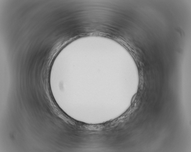 X0000110920241200907301608
