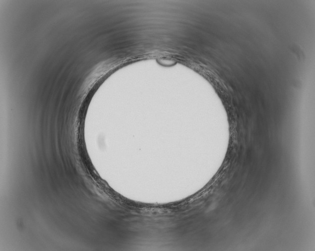X0000110920242200907301608