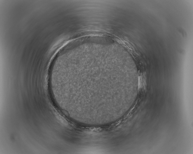 X0000110920243200907301608