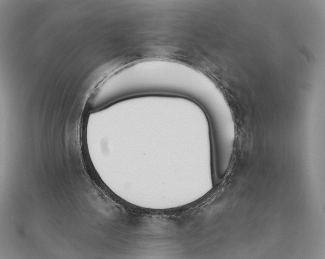 X0000110920244200907301608