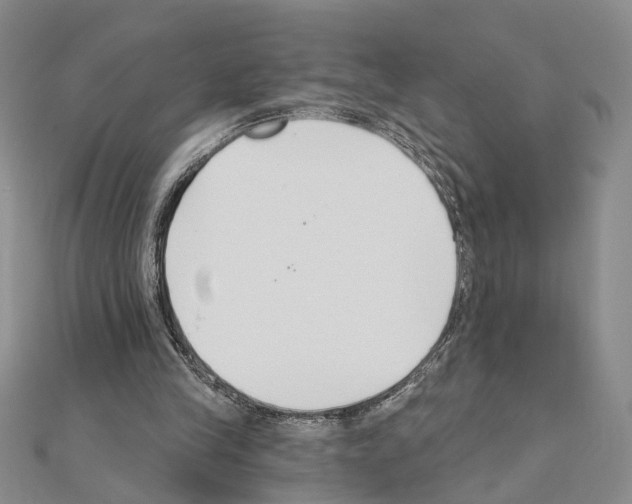 X0000110920245200907301608