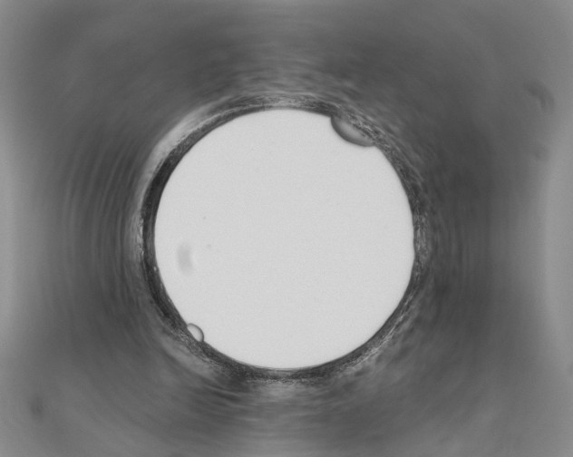 X0000110920246200907301608