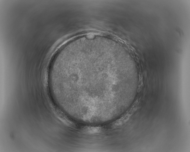X0000110920247200907301608