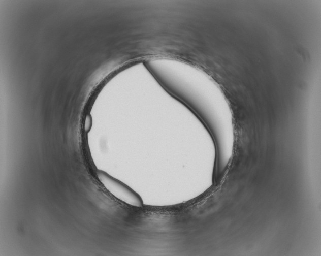 X0000110920248200907301608