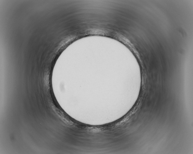 X0000110920249200907301608