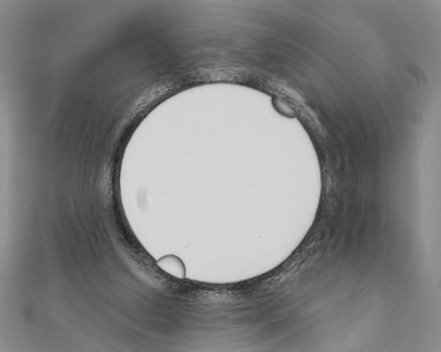 X0000110920250200907301608