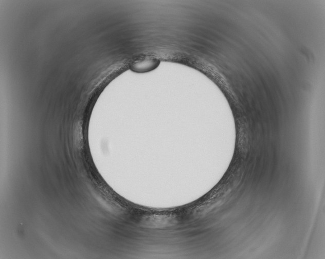 X0000110920251200907301608