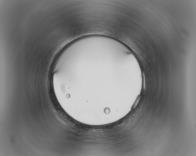 X0000110920252200907301609