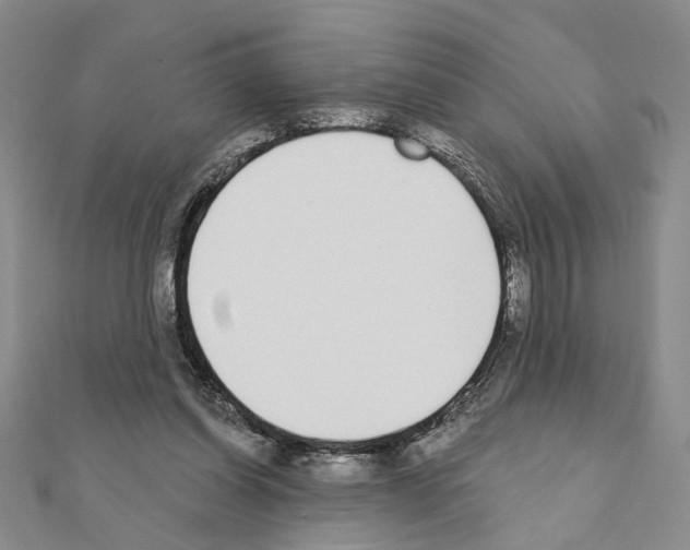X0000110920254200907301609