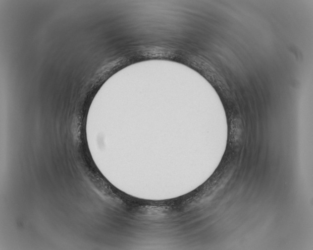 X0000110920255200907301609