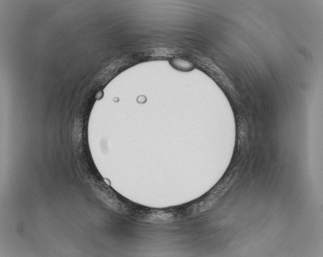 X0000110920257200907301609
