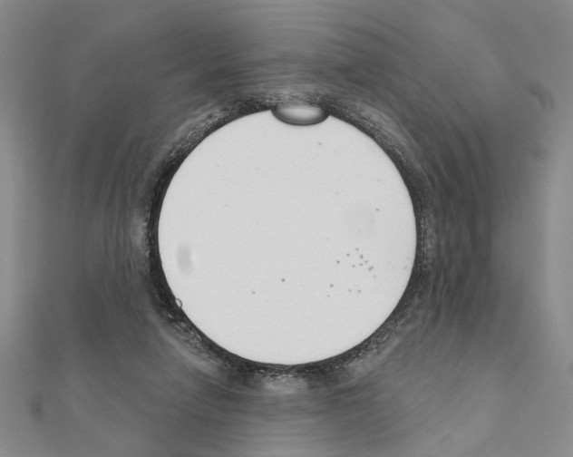 X0000110920258200907301609