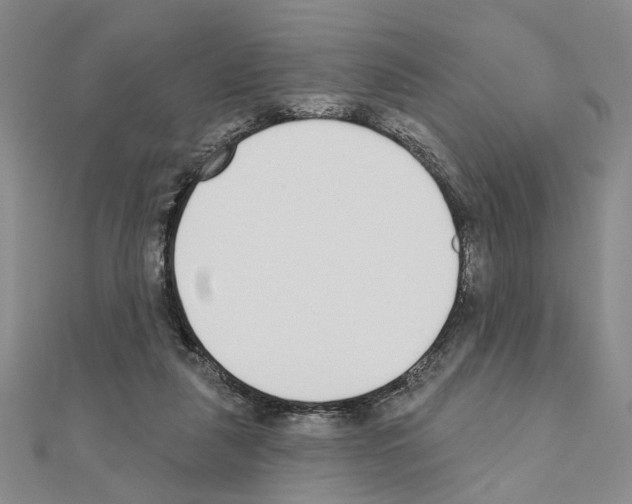 X0000110920259200907301609