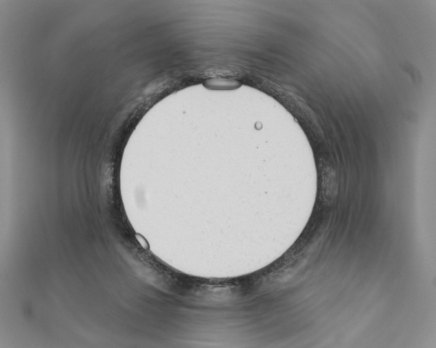 X0000110920260200907301609