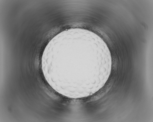 X0000110920261200907301609