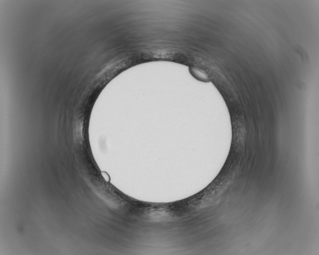 X0000110920262200907301609