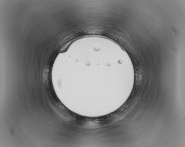 X0000110920263200907301609