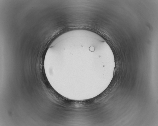 X0000110920264200907301609