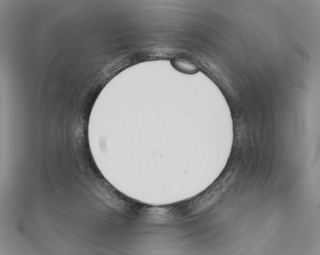 X0000110920265200907301609